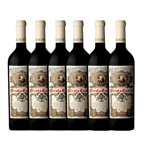 Kit 6 Nicola Catena Bonarda 2020