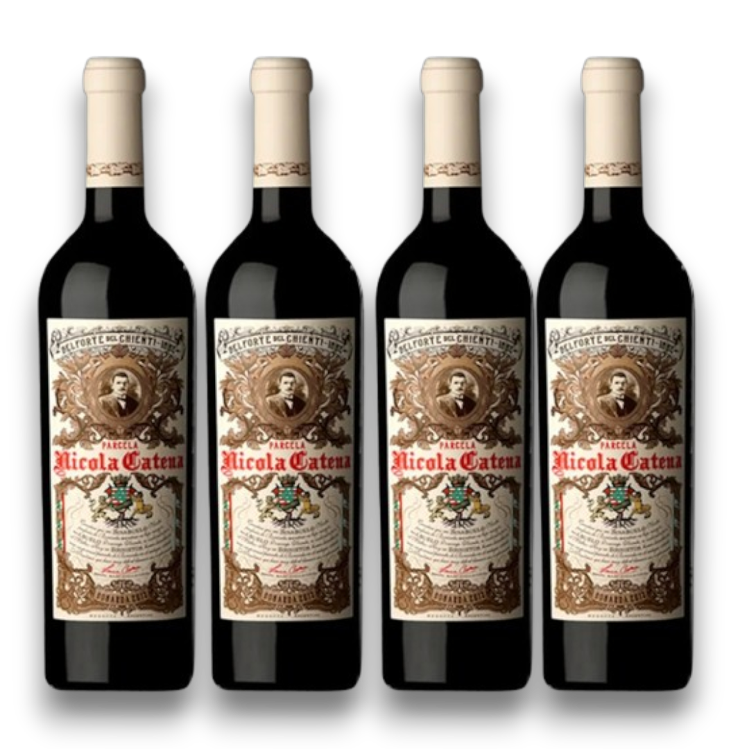 Kit 4 Nicola Catena Bonarda 2019